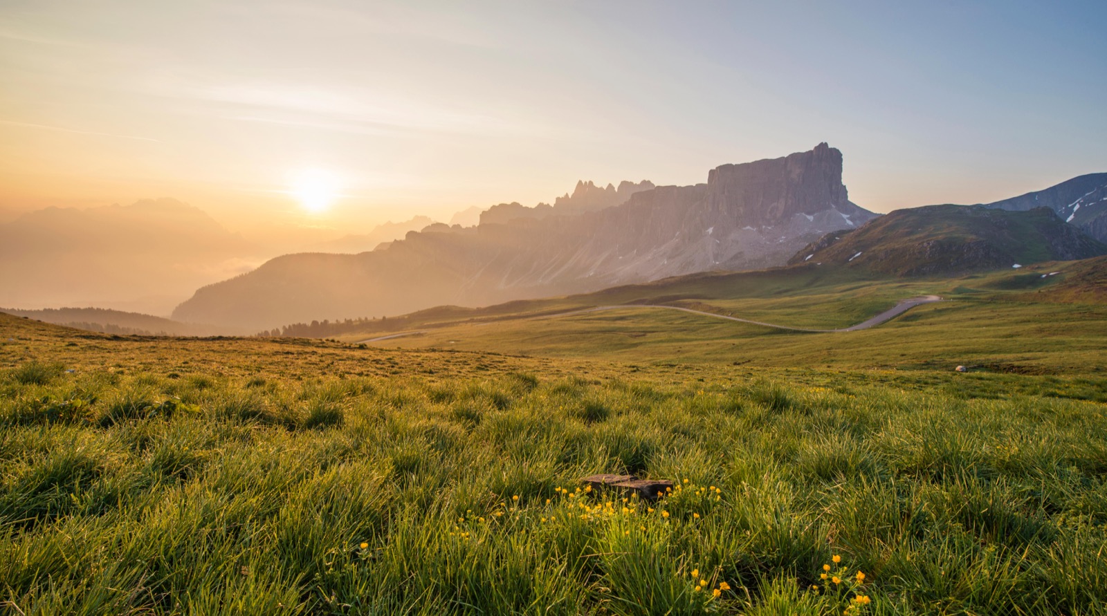 Sweet Landscapes